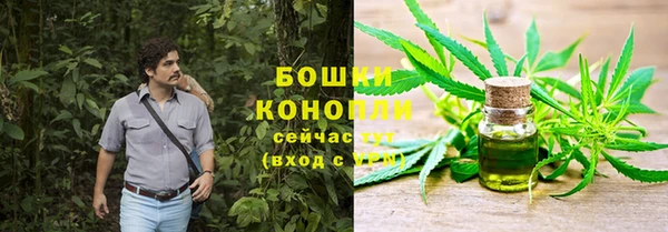 дурь Белоозёрский
