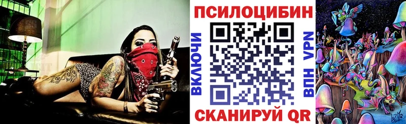 купить закладку  Онега  Галлюциногенные грибы мицелий 