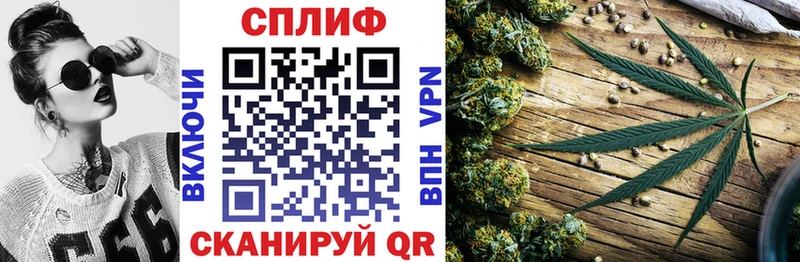 гидра онион Онега Бошки Шишки White Widow
